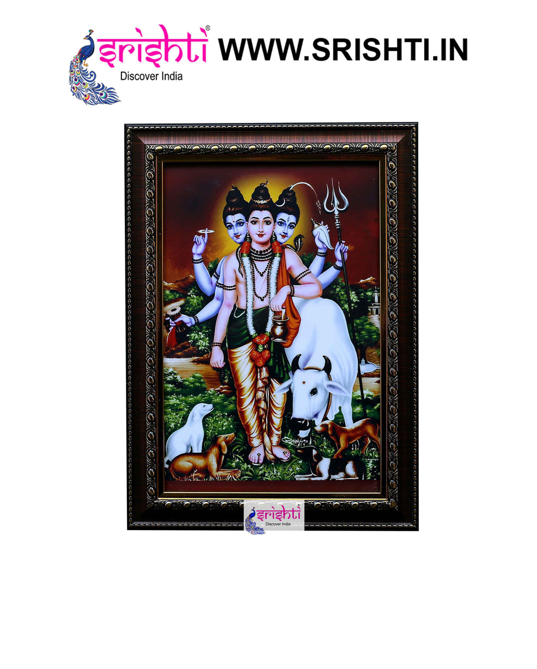 SIPF-Dattatreya Photo Frame 10 X 14 Inches