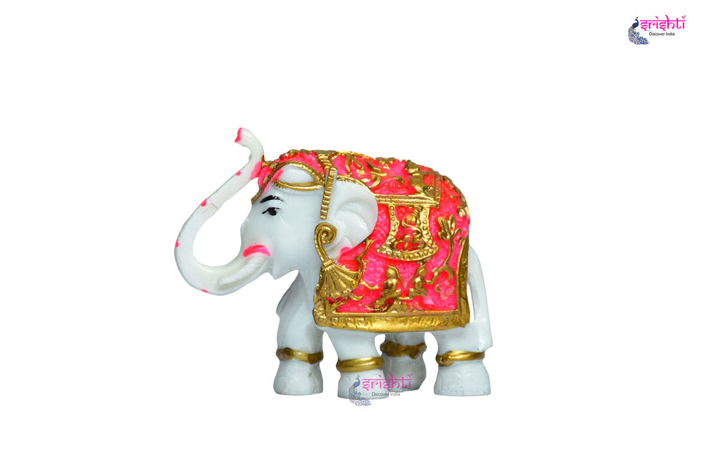 STRG-Elephant-M11 (IGSTC187)